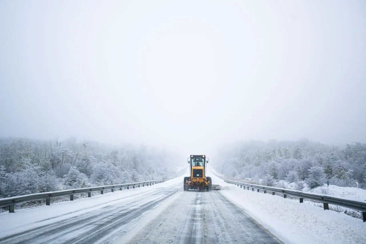 photo_5017220017837683235_y