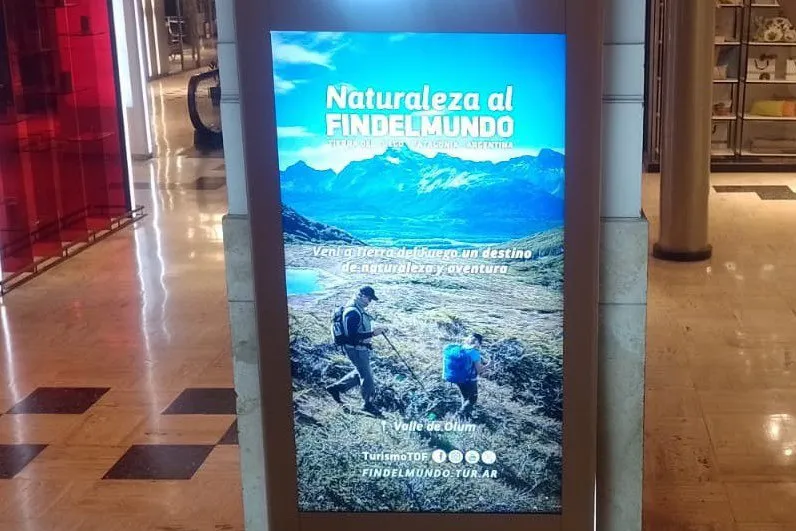 photo_4915898307649932115_x