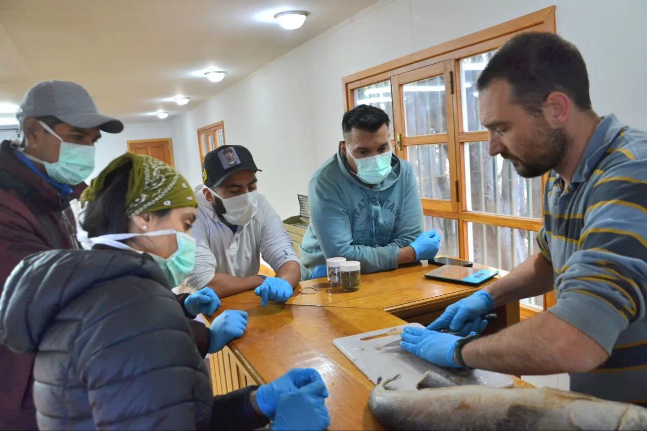 photo_5172637262029106546_y