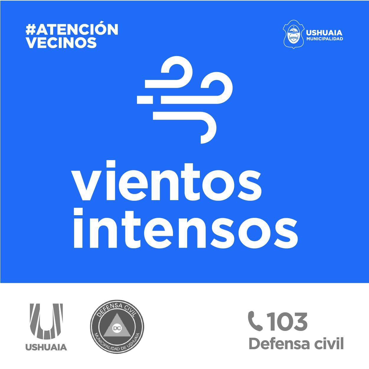 photo_5051229703486155784_y