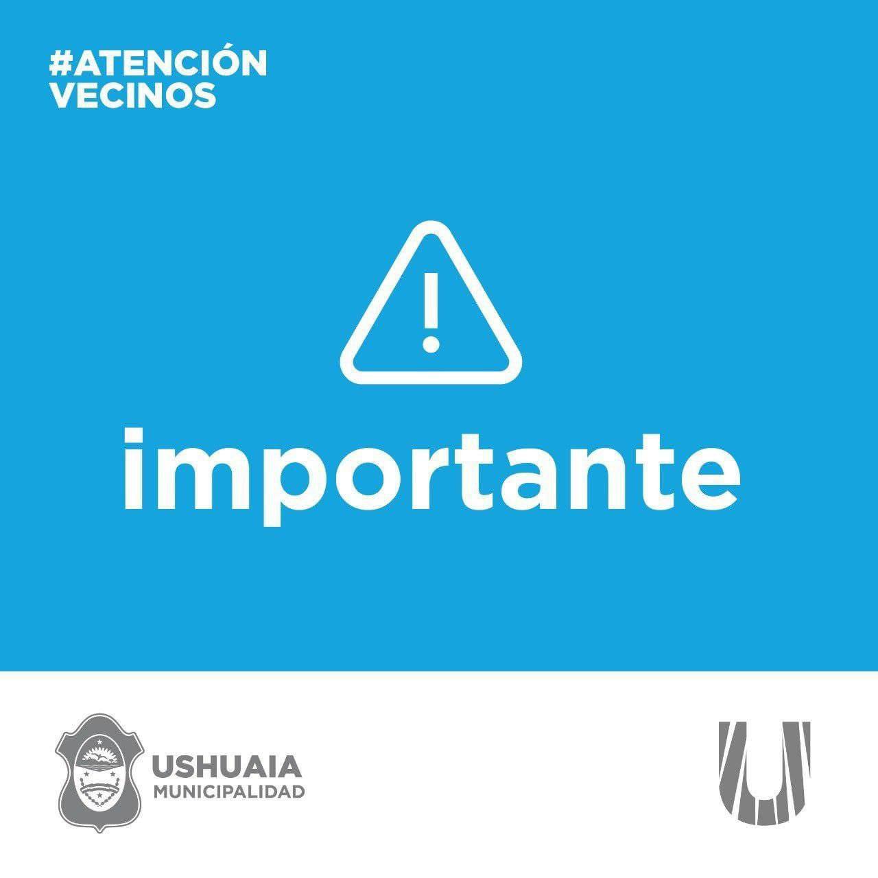 photo_4909226161851182448_y