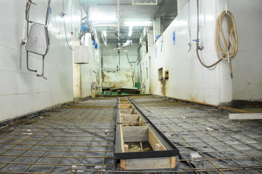 photo_5168376791910427894_y