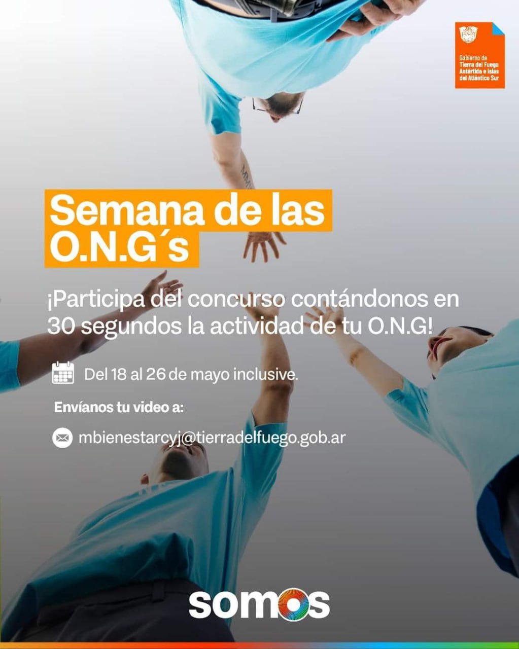 photo_5082819767768821044_y