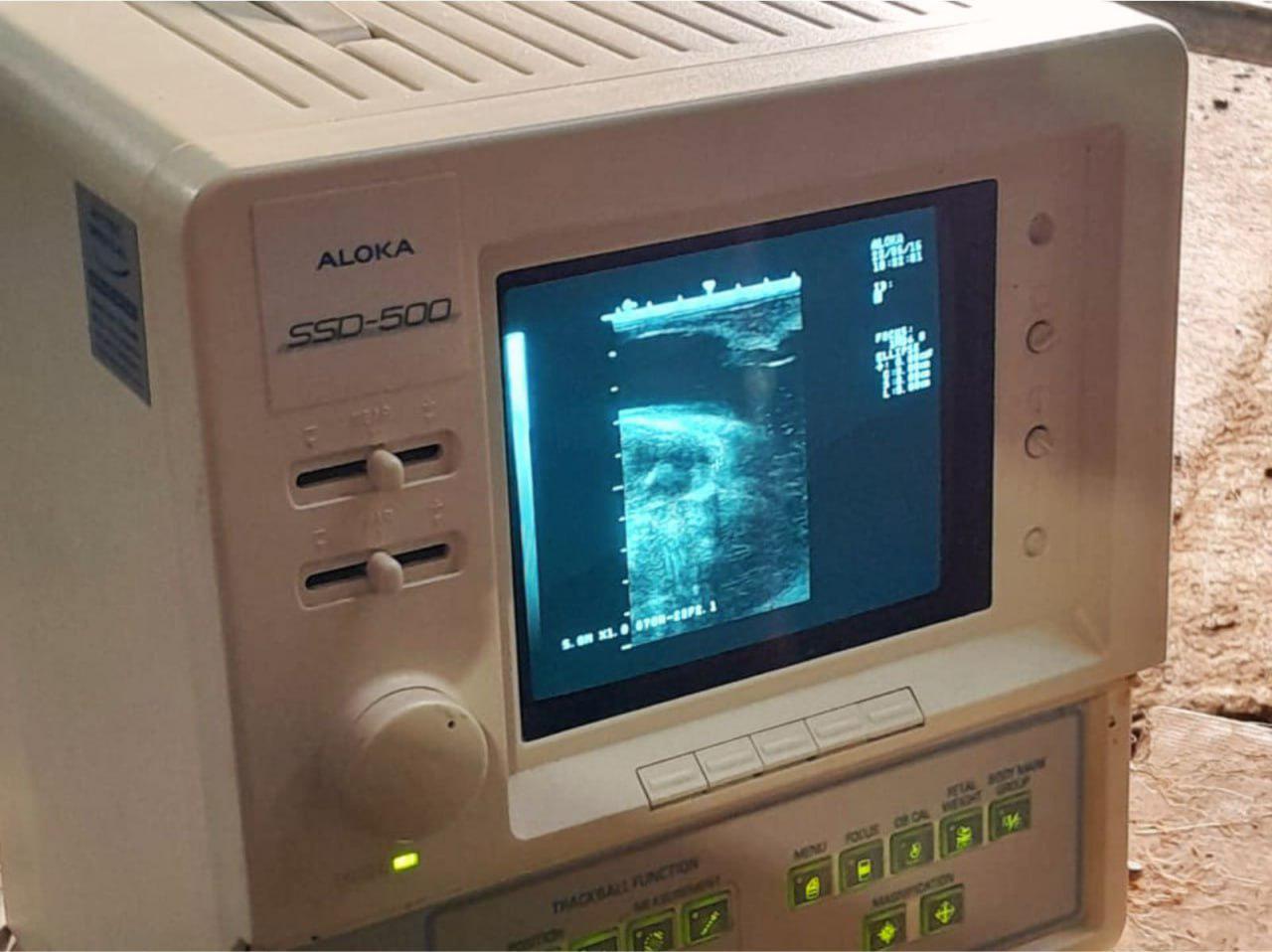 photo_5049032093274844256_y