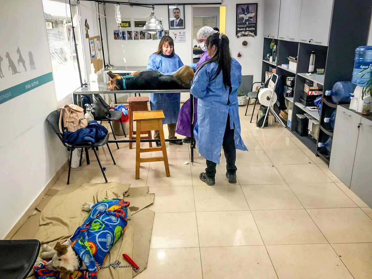 photo_4906719266749918369_y