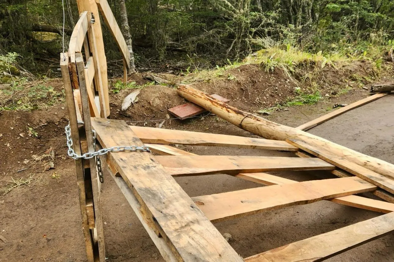 photo_5069059847898639687_y