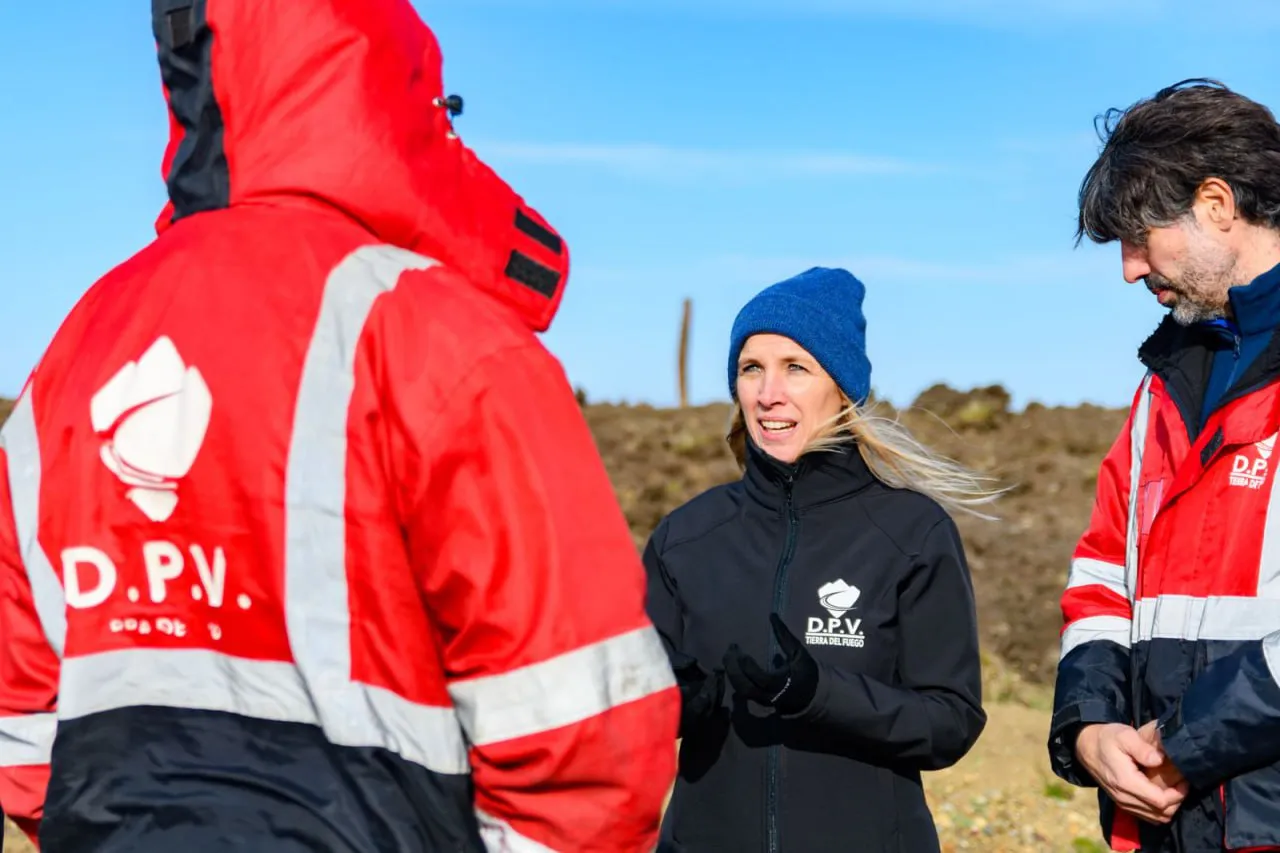 photo_4920594635341016699_y