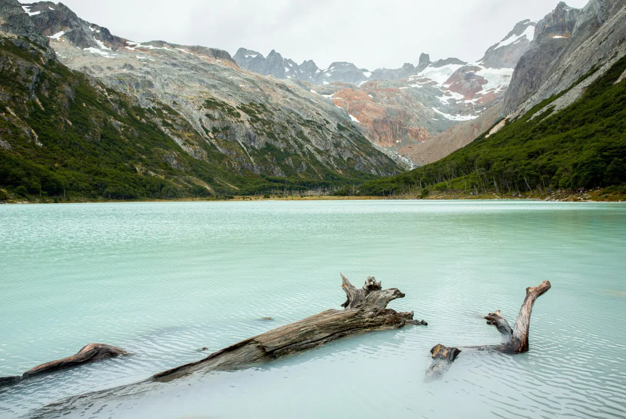 photo_5152488535360211784_y