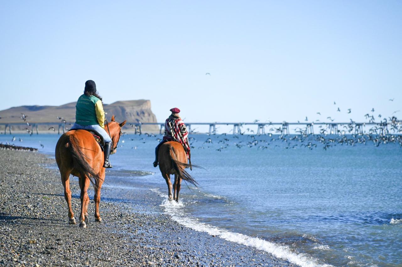 photo_5046521968358175010_y