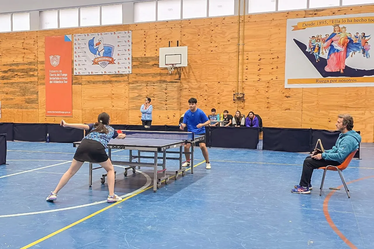 photo_5087205762601693472_y