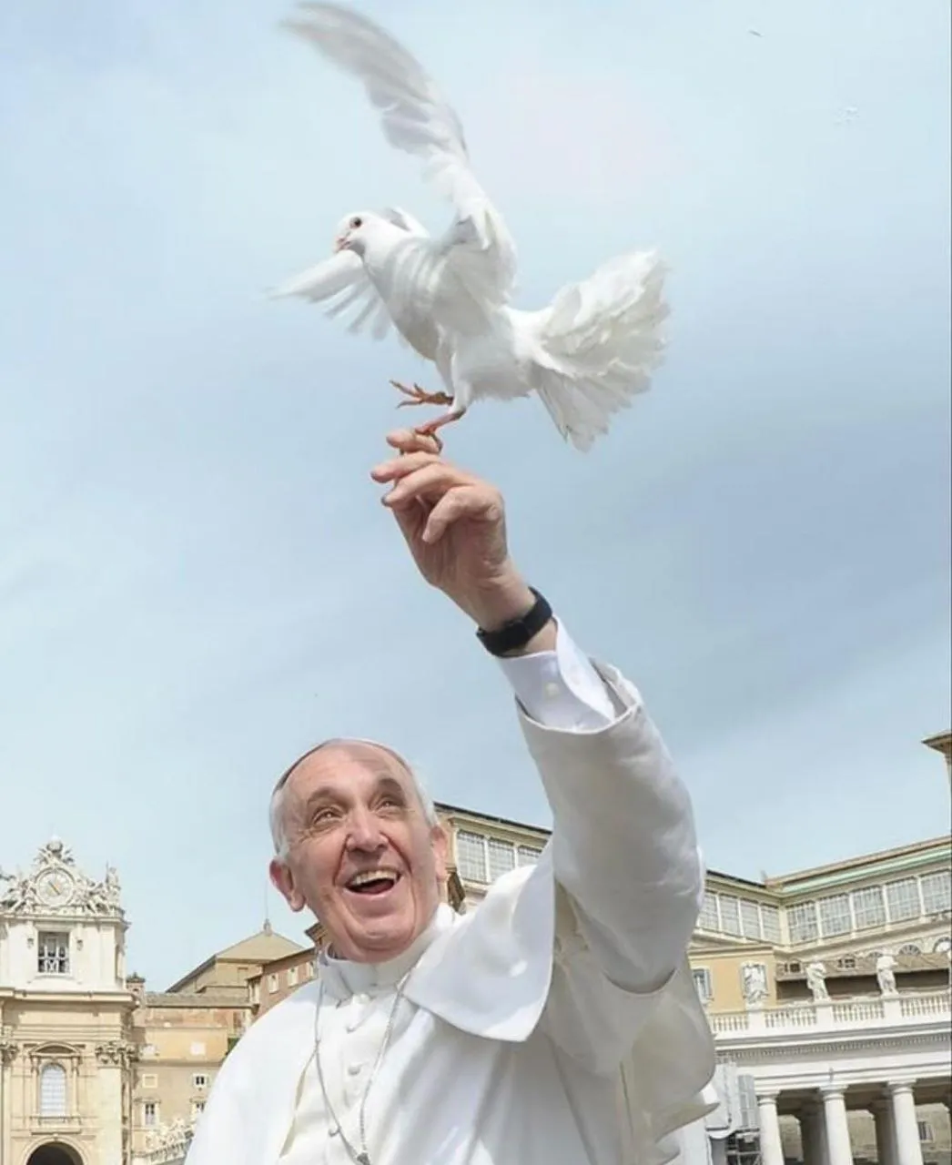 photo_4913925843915485439_y