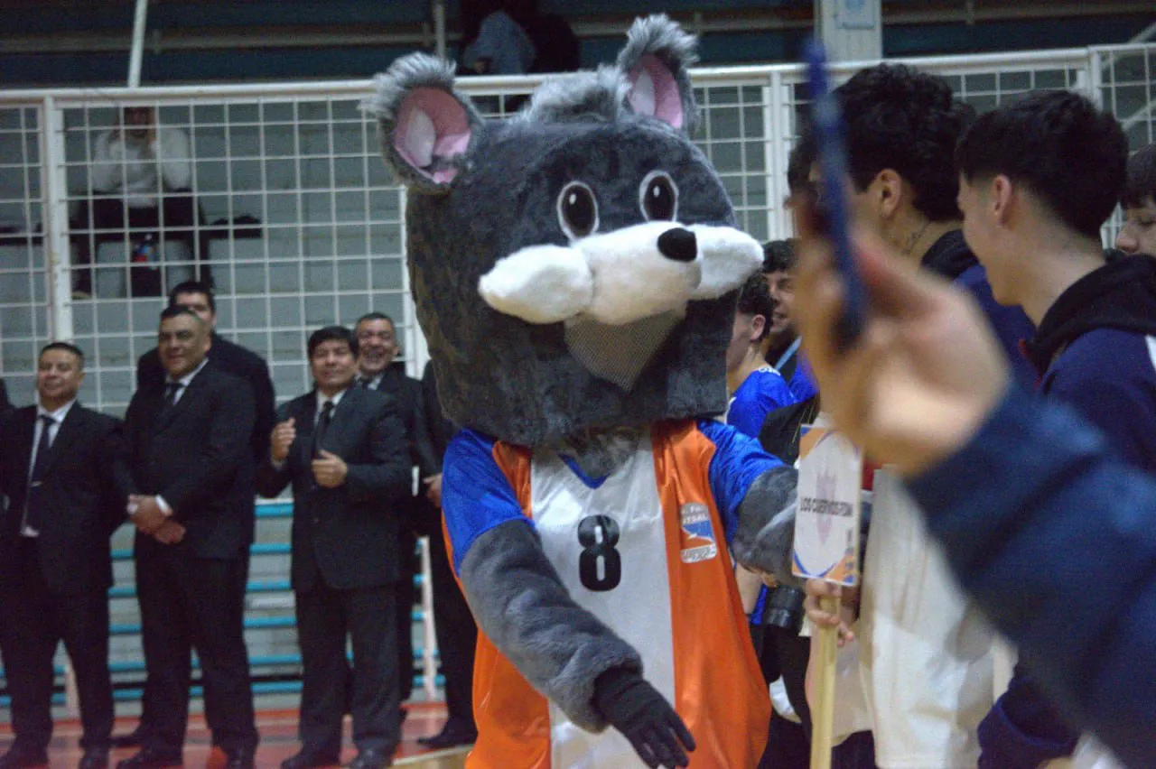 photo_4981412905555701490_y