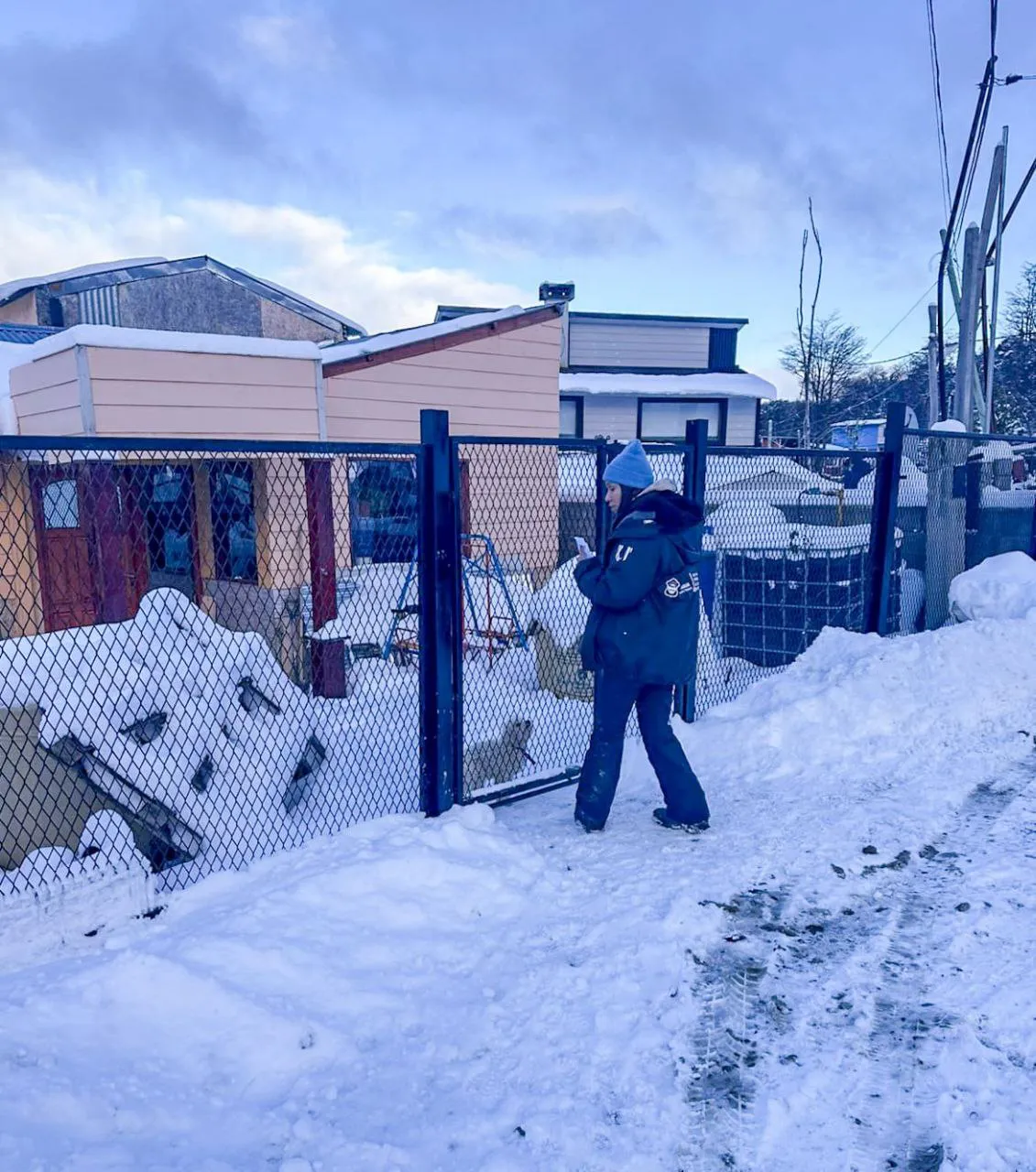 photo_4920486565373914775_y