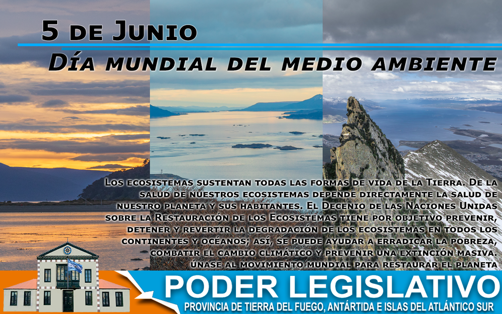 050621-Día-del-medio-ambiente