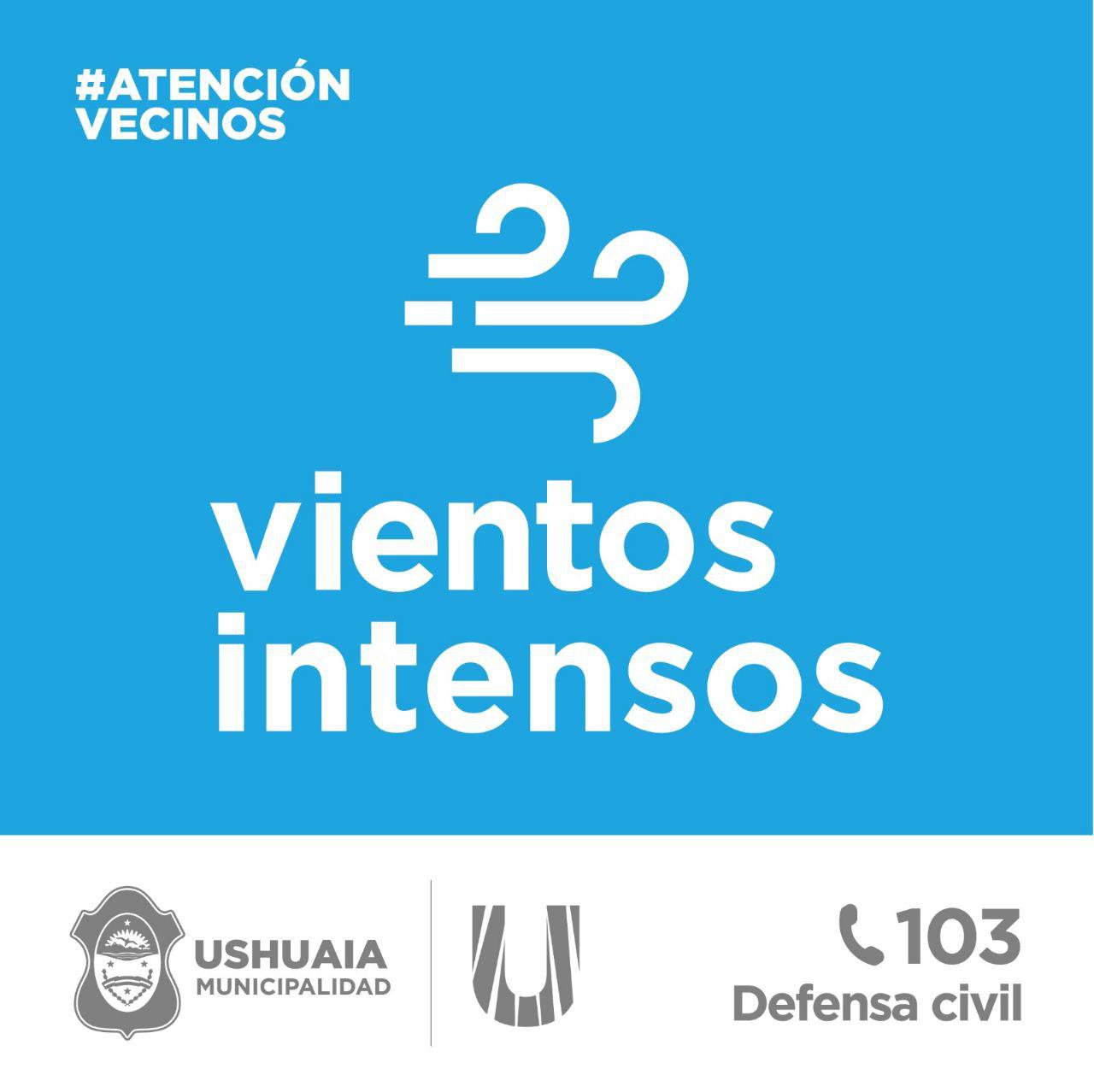 photo_4934198360135544119_y