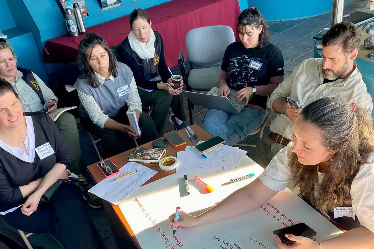 photo_4999397423977705250_y