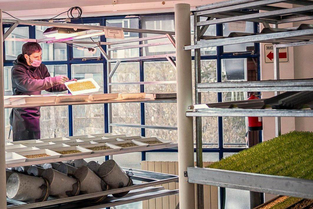 photo_5071363969003924413_y