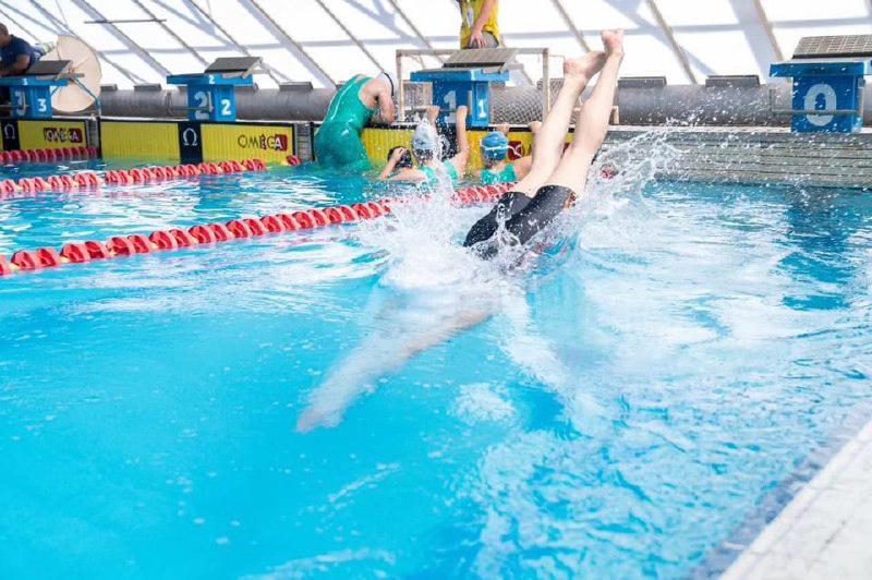 ed953f0e-6447-44af-ad64-39f3ae1a0782