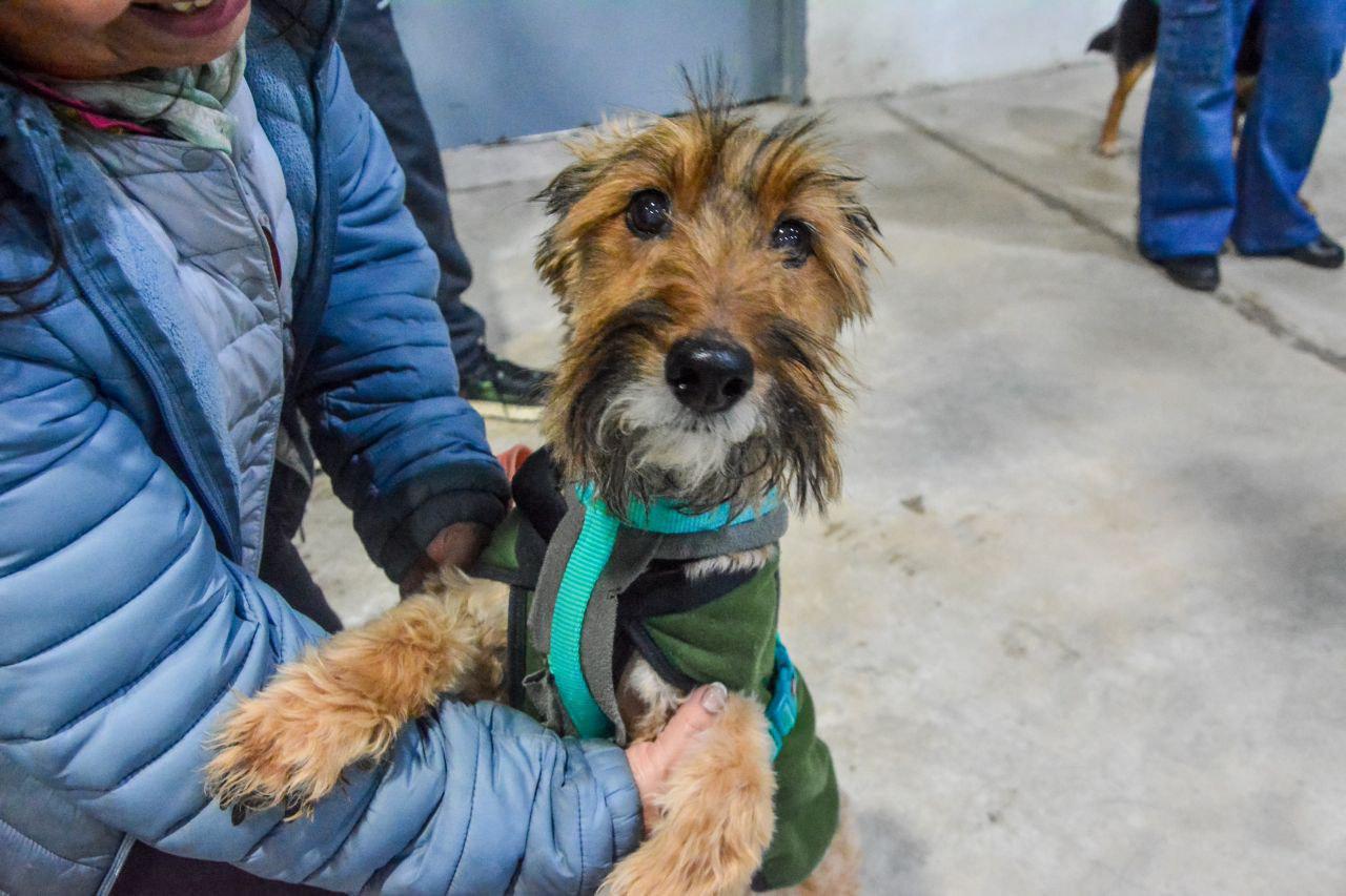 photo_4927480137931403216_y