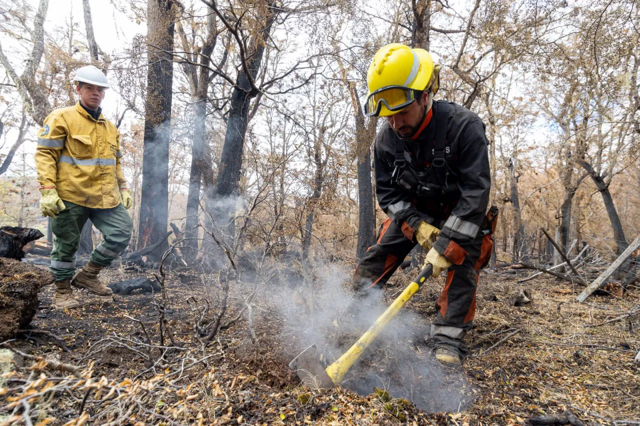 photo_5030637259447185009_y