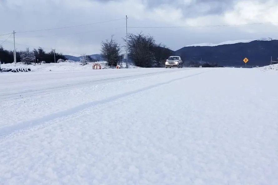 photo_4904903466246319904_y