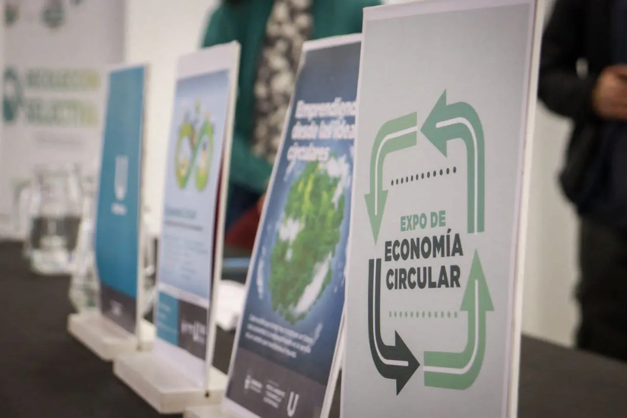 photo_4913545610460770138_y