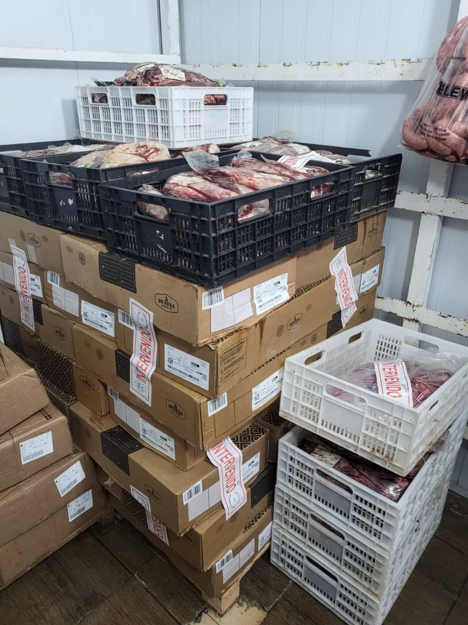 photo_4961015702140071456_y