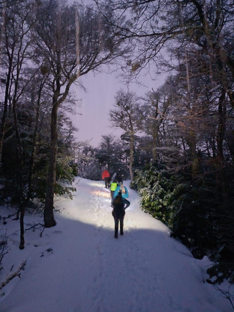 photo_5010581802284331233_y