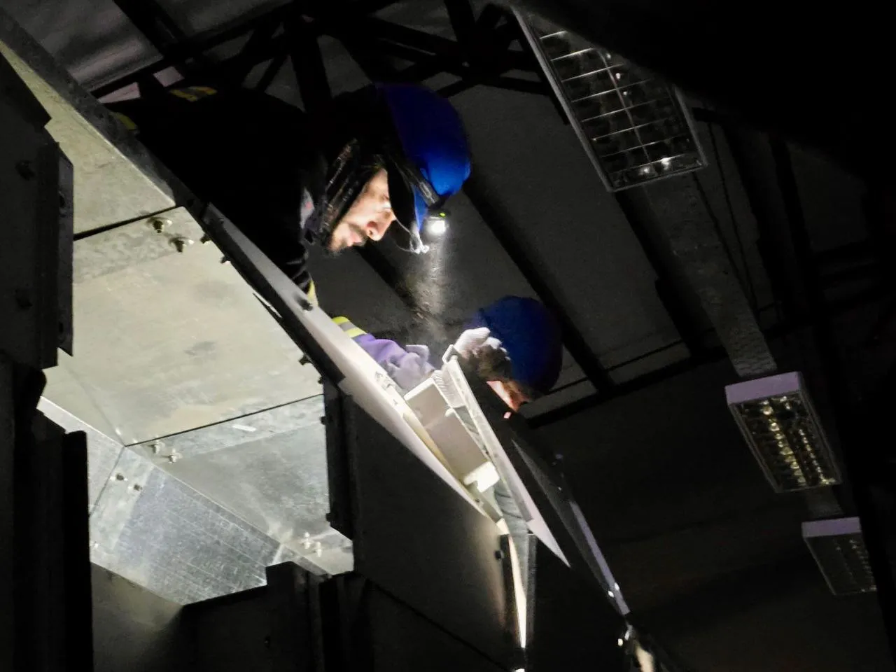 photo_5057974533012696602_y