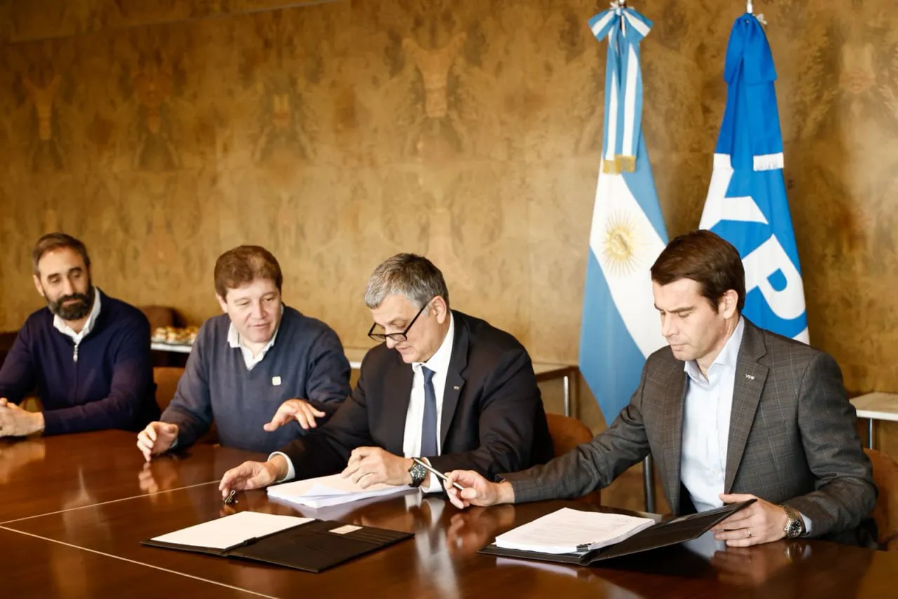 photo_4981412905555701478_y