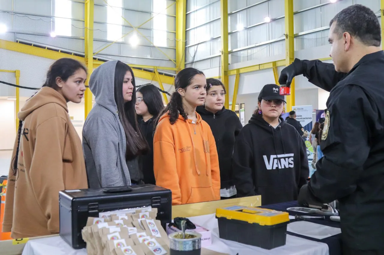 photo_4965591431448211197_y