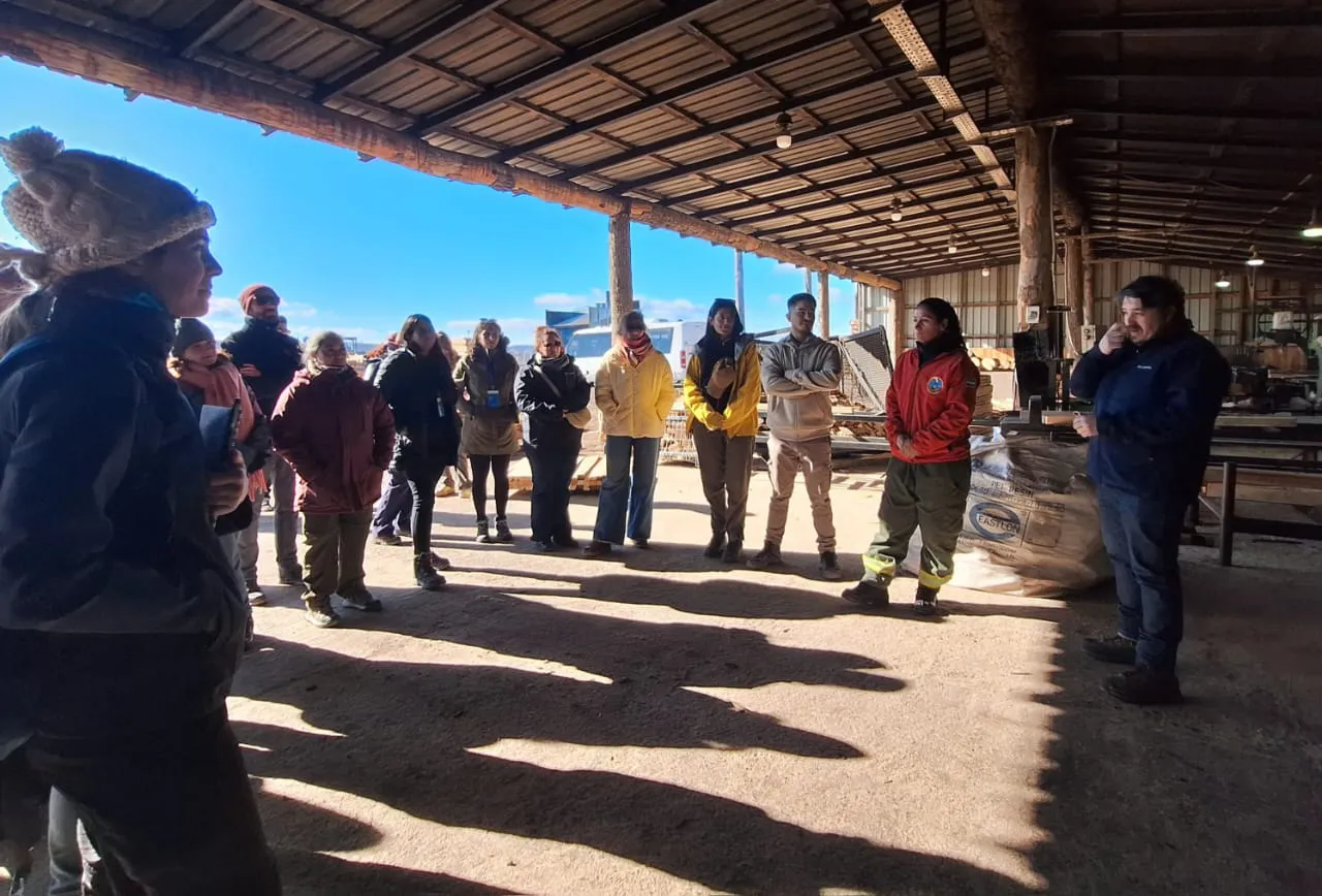 photo_5042232412720967376_y