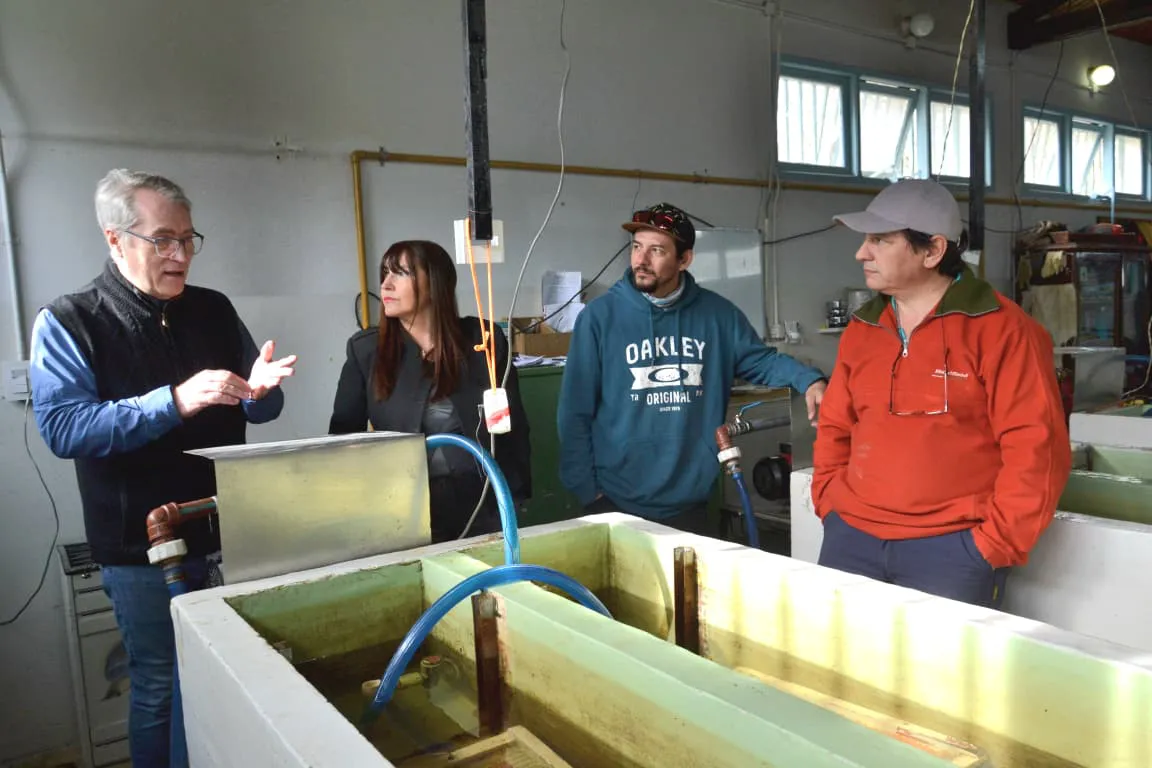 photo_5132033521684777741_y