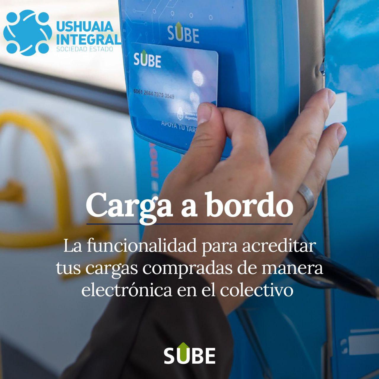 photo_5012833602098016745_y