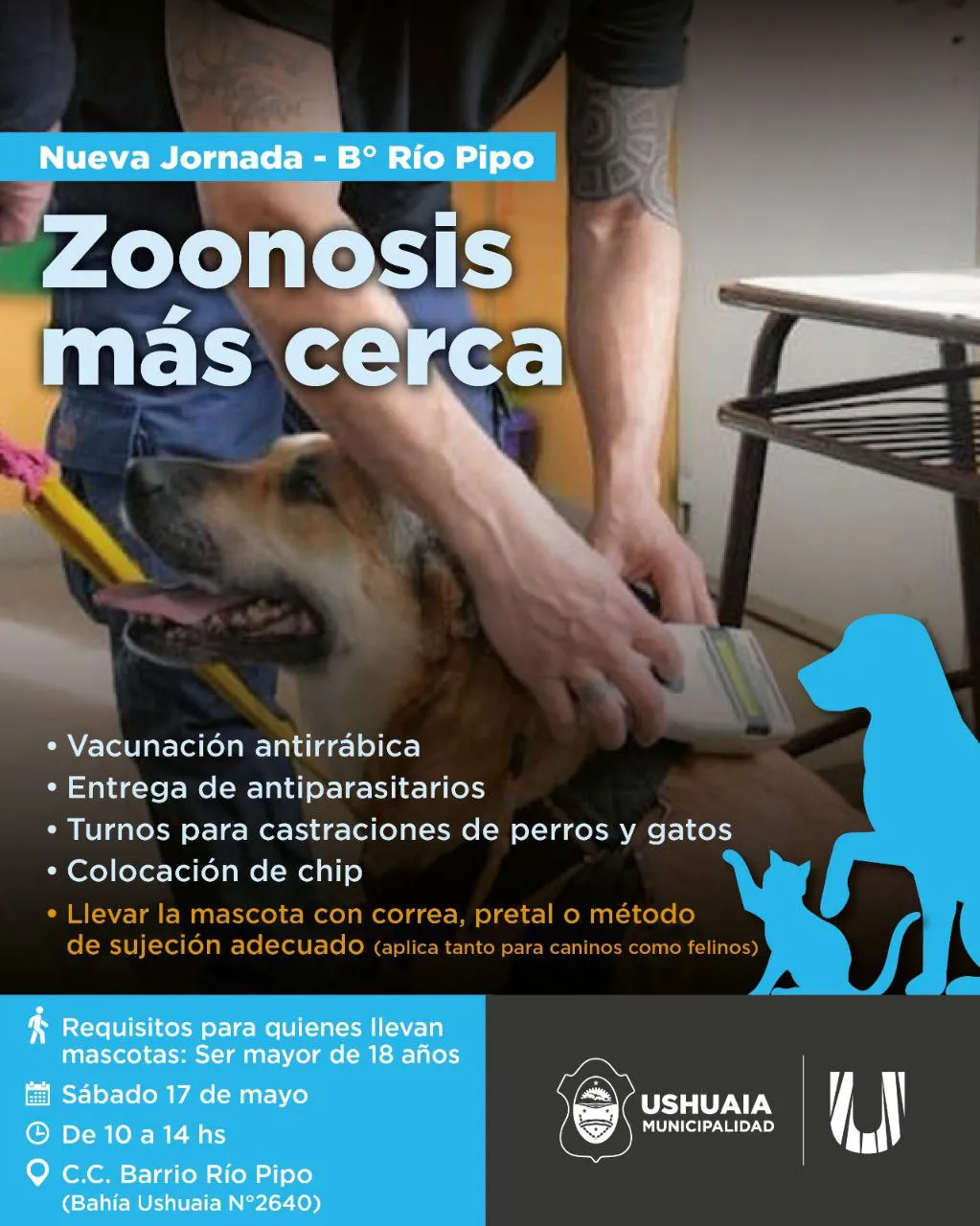 photo_4985865725784731154_y