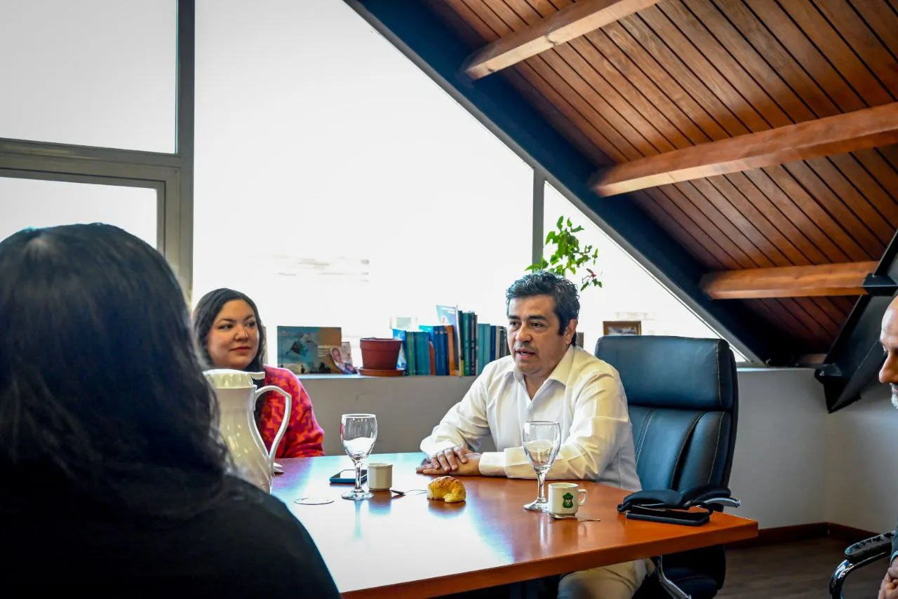 photo_5098542122621054056_y