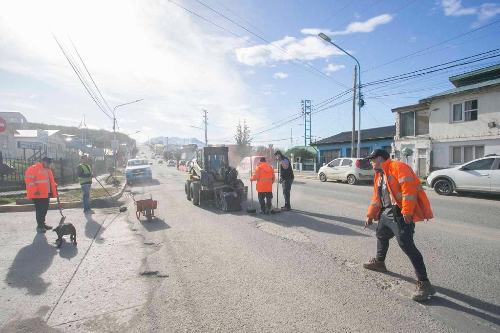 photo_4965432526248193396_y