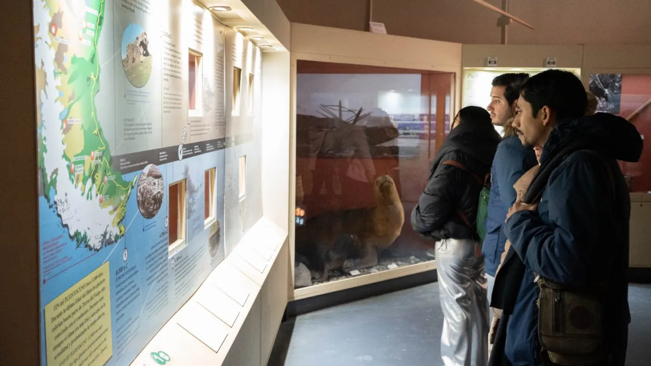 photo_5040047760425987413_y (1)