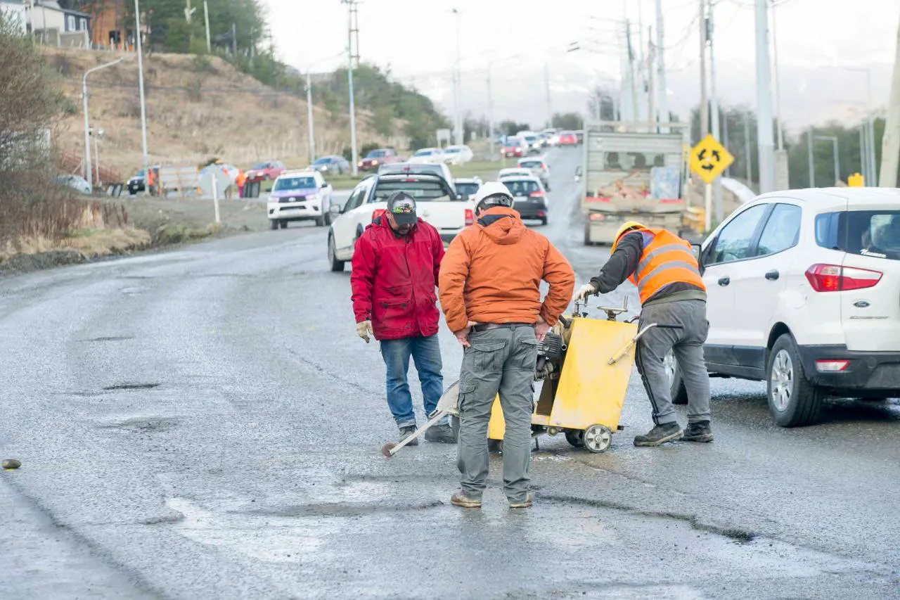 photo_4920675784453107038_y