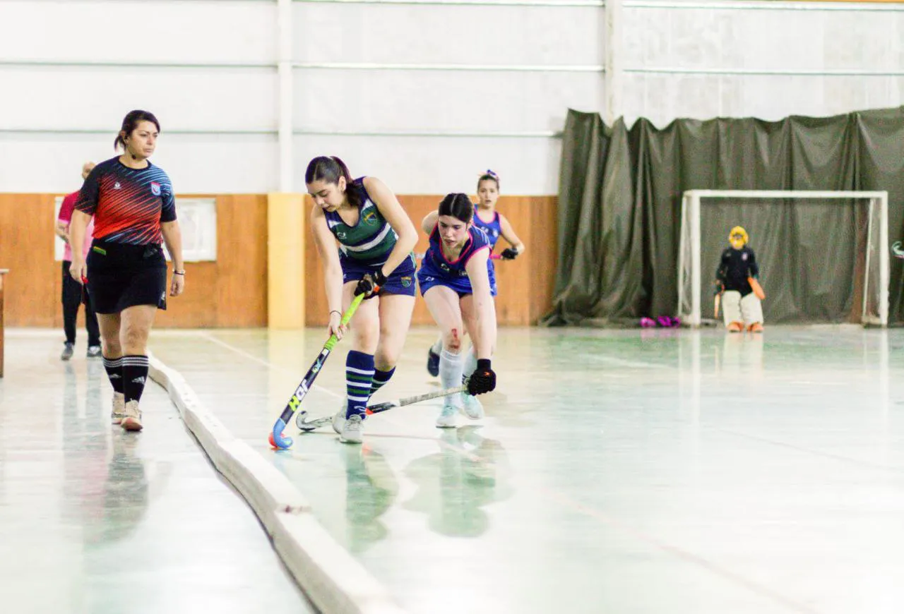 photo_5102774164351200843_y