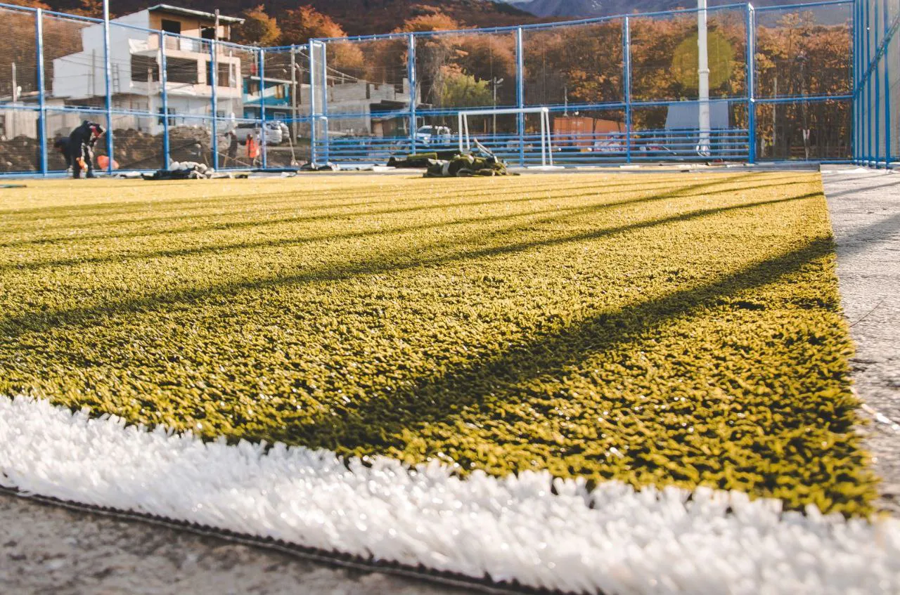 photo_5028514274292641564_y