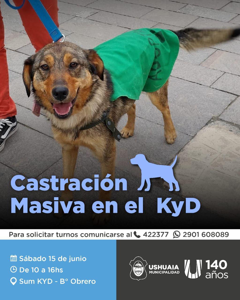 photo_5127895054403350076_y