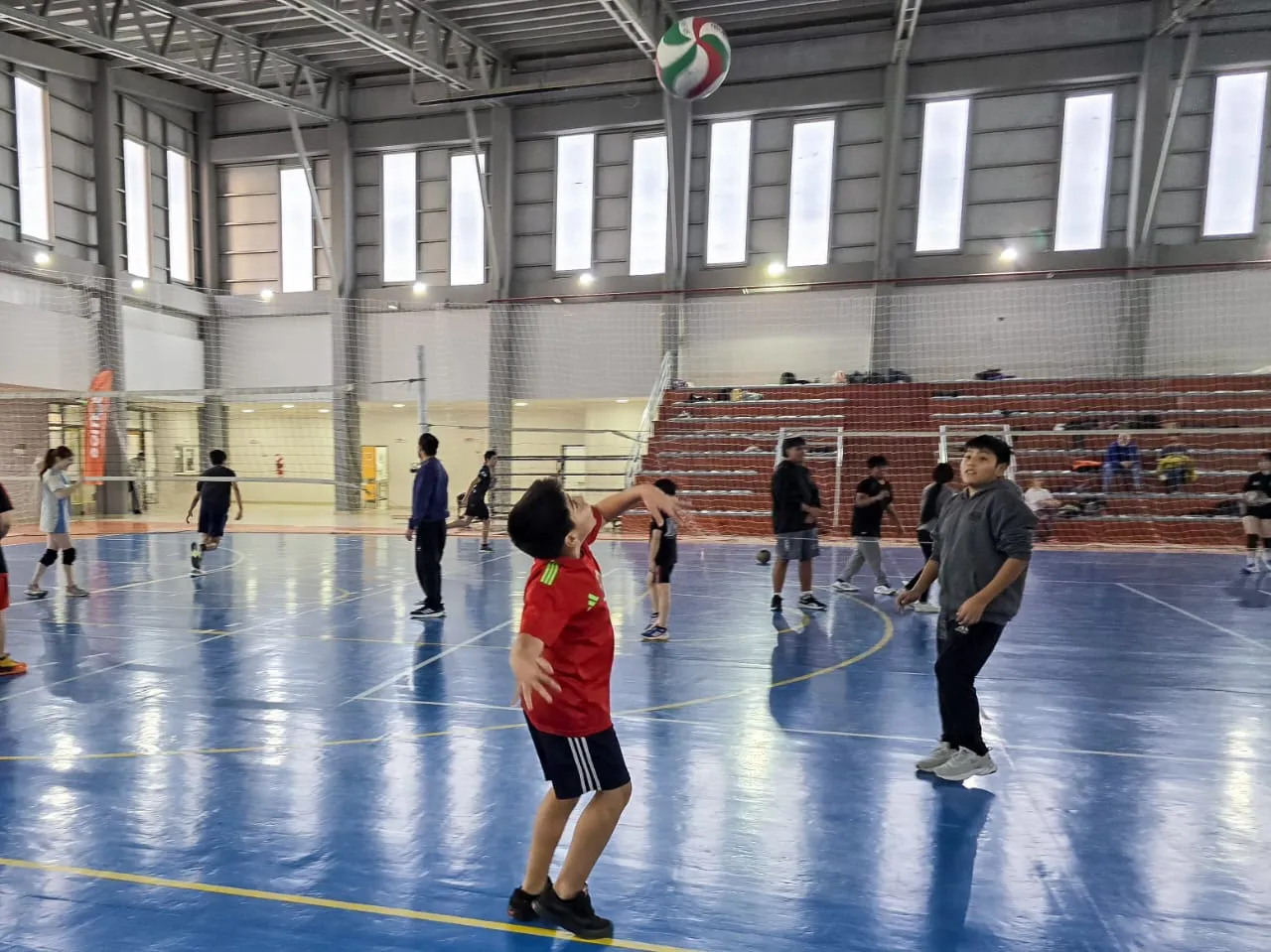 photo_5046526190311026301_y