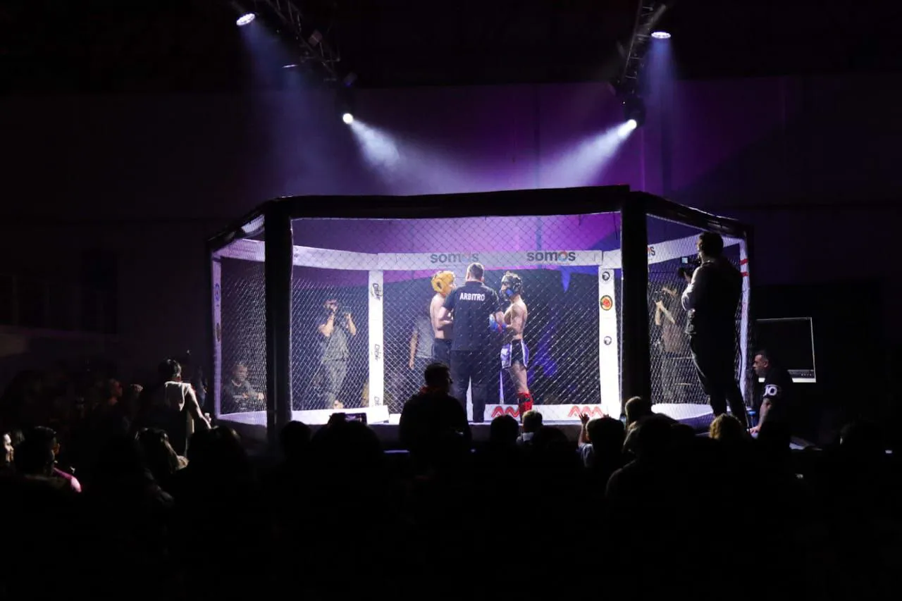 photo_5102774164351200779_y